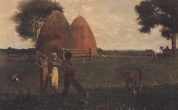 Winslow Homer Weaning the Calf (mk44) Germany oil painting art